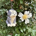 IMG_8912.JPG