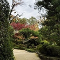 IMG_8917.JPG