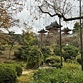IMG_8909.JPG