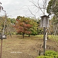 IMG_9106.JPG