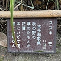 IMG_9114.JPG