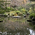 IMG_9118.JPG