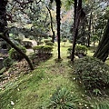IMG_9120.JPG