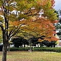 IMG_E9088.JPG