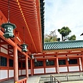 IMG_E9105.JPG