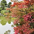 IMG_E9136.JPG