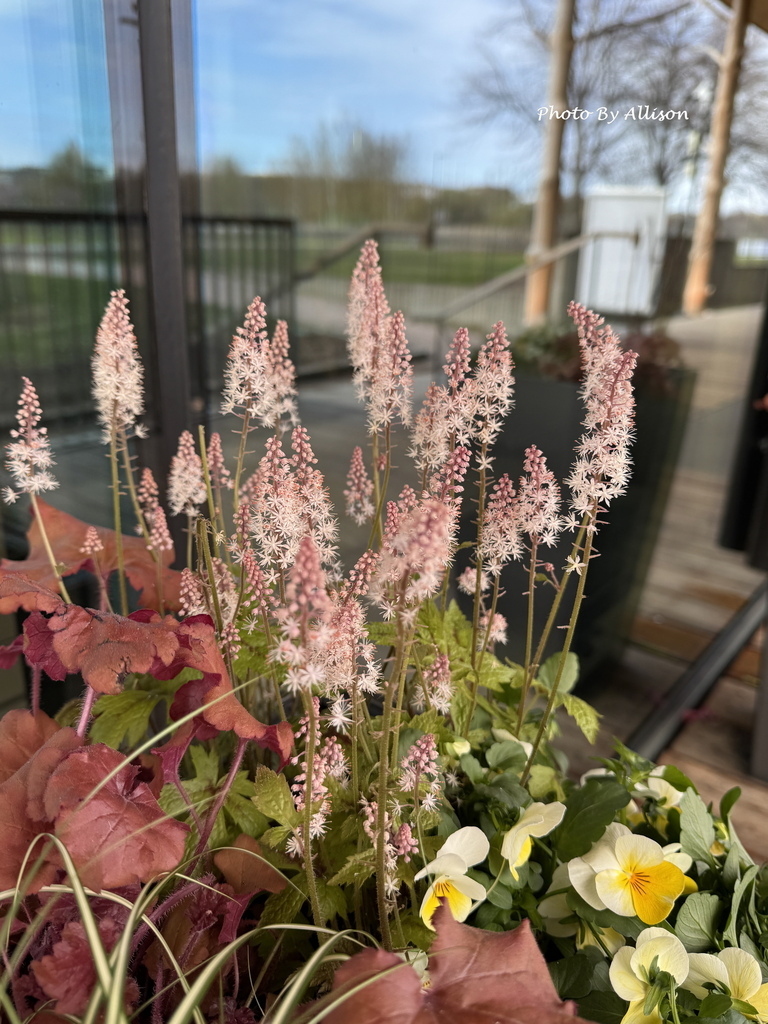 －＞ 前進赫爾辛基：0501初次見面  芬蘭廳Finland