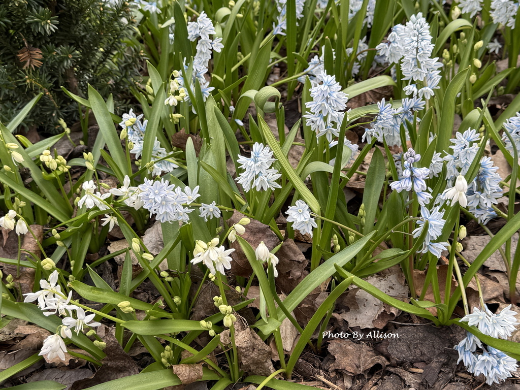 －＞ 前進赫爾辛基：0501初次見面  芬蘭廳Finland