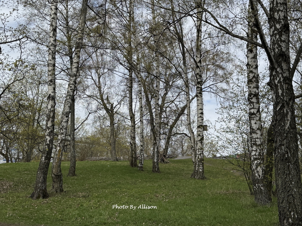－＞ 前進赫爾辛基：0501初次見面  芬蘭廳Finland