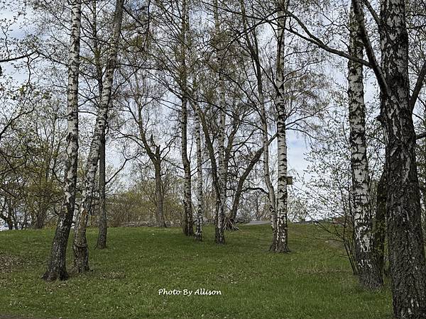 IMG_9927.JPG