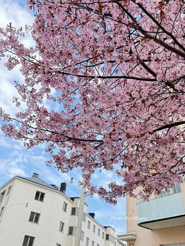 －＞前進赫爾辛基：一座讓人放鬆 悠閒 歡喜 的城市 & 5月