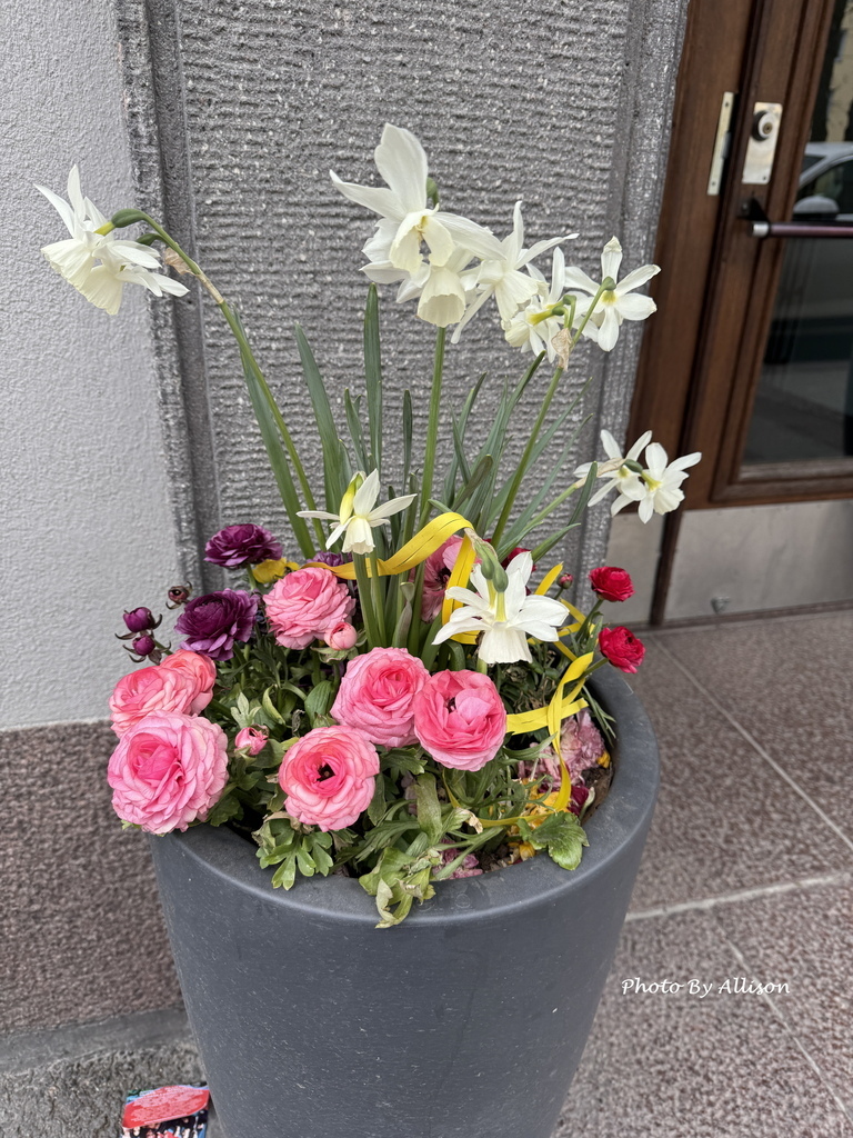 －＞前進赫爾辛基：一座讓人放鬆 悠閒 歡喜 的城市 & 5月