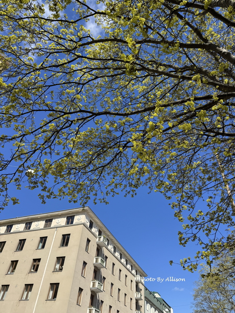 －＞前進赫爾辛基：一座讓人放鬆 悠閒 歡喜 的城市 & 5月