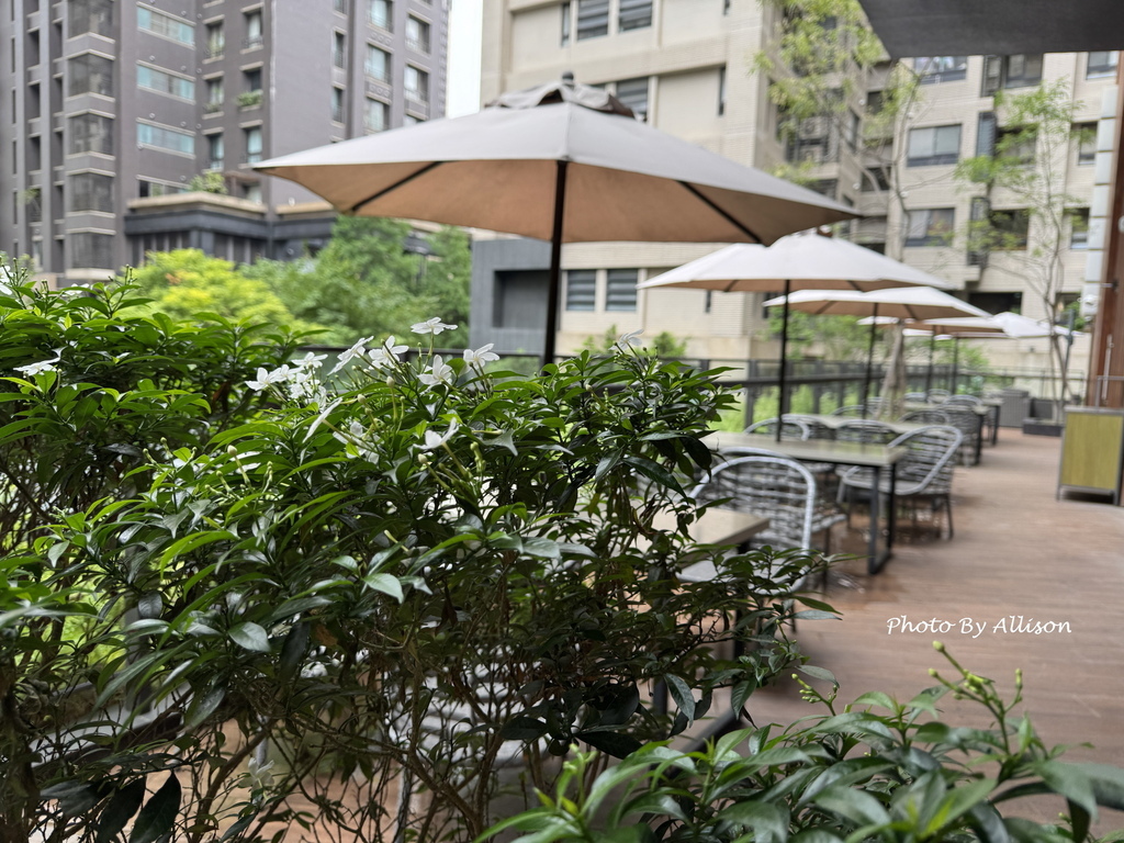－＞書香X咖啡香 蔦屋書店台中市政店－依然是台中最美書店