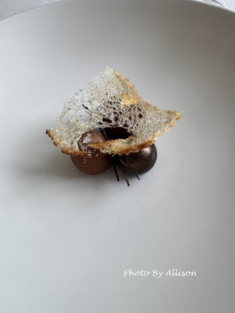 －＞米其林一星Olo美食體驗 (前進赫爾辛基12天)
