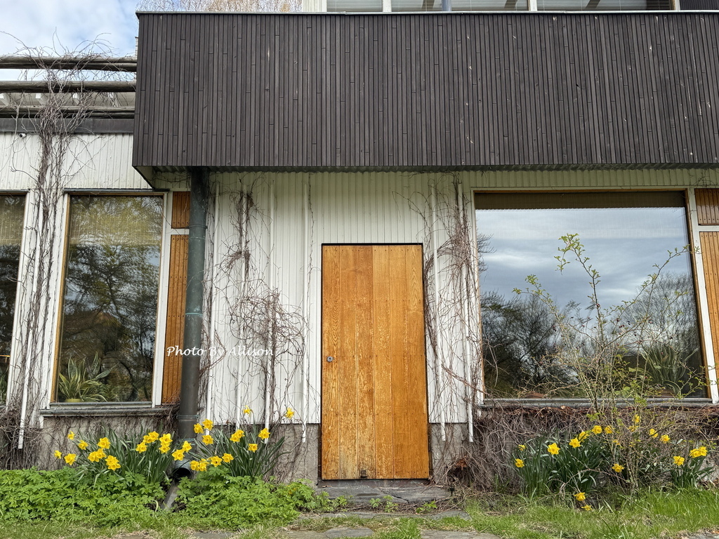 －＞「打開建築師家的門」－Aalto House奧圖故居 (