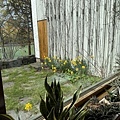 IMG_0367.JPG