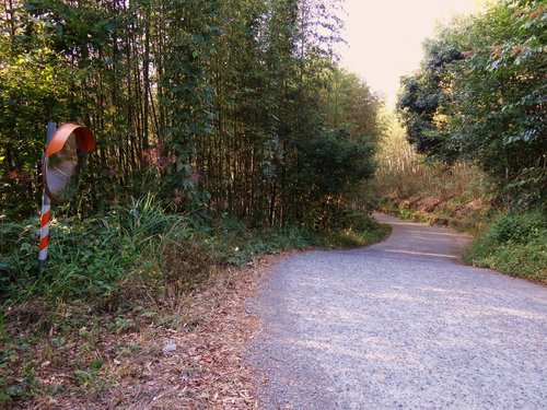 司馬庫斯 (3).jpg 司馬庫斯 (3).jpg