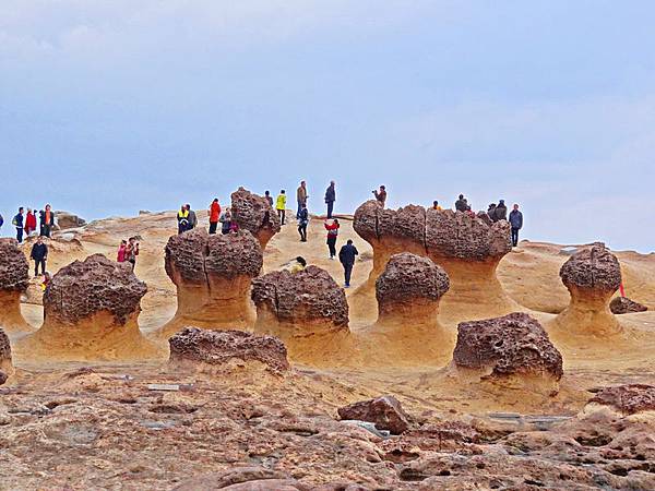 野柳 (5).jpg 野柳 (5).jpg