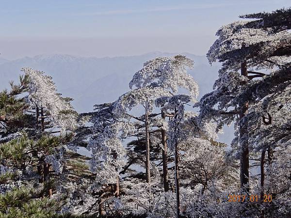 20170119－20黃山 (85).JPG