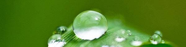 01603_droplets_2560x1600.jpg