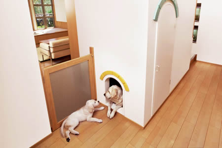 dog07-2.jpg dog07-2.jpg