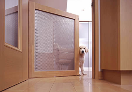 dog01-2.jpg dog01-2.jpg