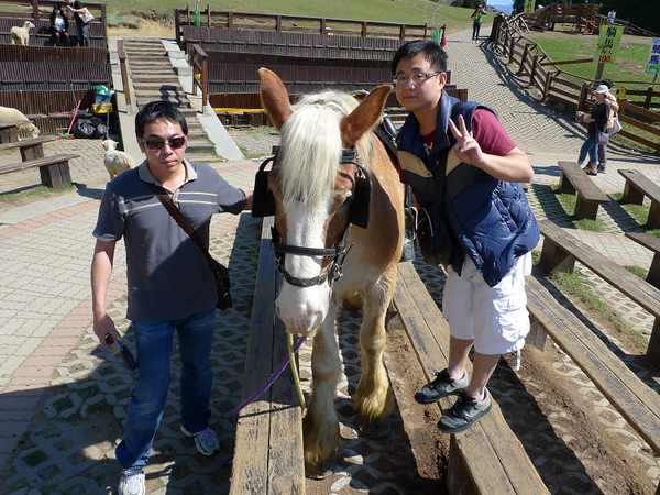 P1030791.jpg P1030791.jpg