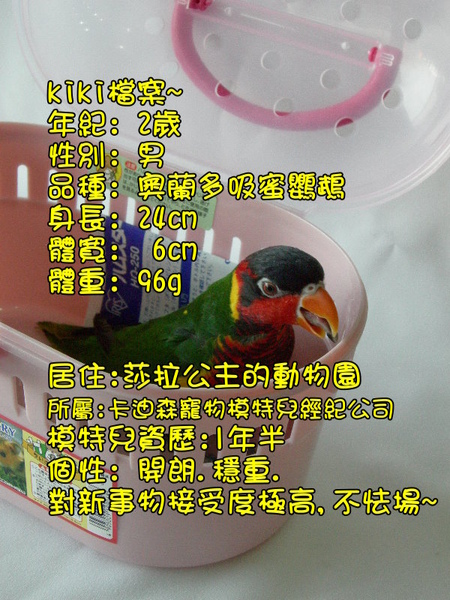 部落格kiki5.jpg 部落格kiki5.jpg