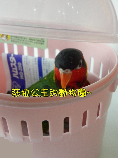 部落格kiki7.jpg 部落格kiki7.jpg