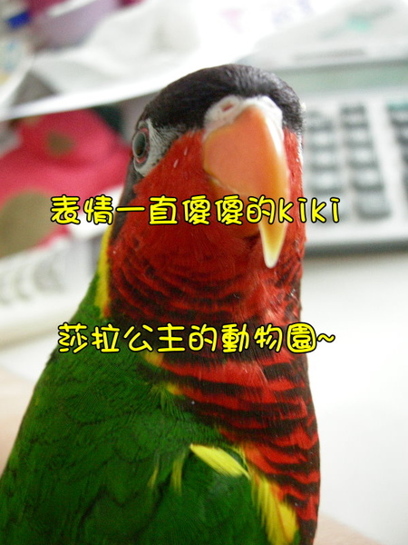 部落格kiki9.jpg 部落格kiki9.jpg