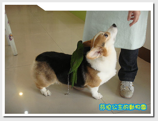 2.jpg 2.jpg