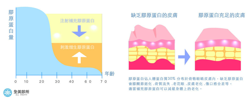 膠原蛋白.jpg