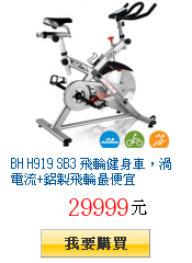 BH H919 SB3 飛輪健身車,渦電流+鋁製飛輪最便宜