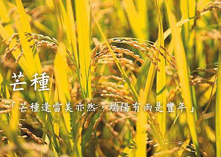 äºŒåå››ç¯€æ°£ èŠ'ç¨® æ‹œé–€å£ ç—žå®¢é‚¦