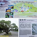 107.8.26小野柳2.JPG