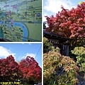 105.11.16京都嵐山西山草堂.jpg