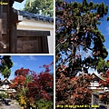 105.11.16大本山天龍寺8.jpg