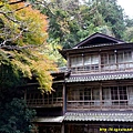 105.11.25箕面公園4.jpg