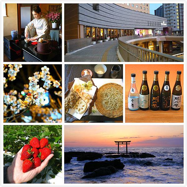 P1180365_meitu_2096 P1180365_meitu_2096