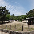 奈良公園-第3張.JPG