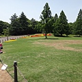 日本万国博覧会記念公園-第18張.JPG