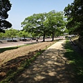 日本万国博覧会記念公園-第29張.JPG