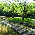 日本万国博覧会記念公園-第59張.JPG