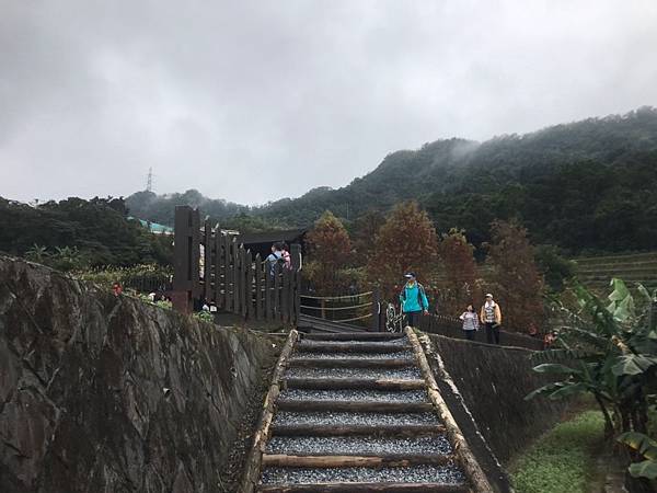 貓空樟樹步道動物園城市尋寶_190114_0045.jpg