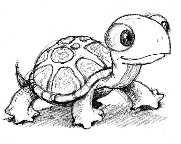 tURTLE01