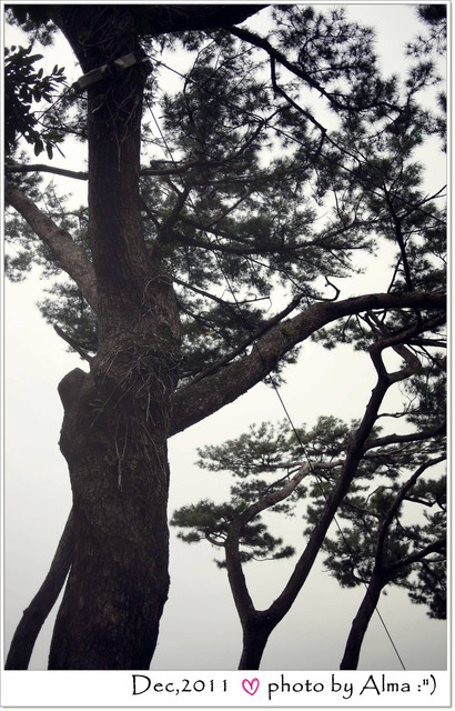 下一張(熱鍵:c)