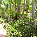 RIMG0161.JPG