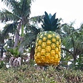 RIMG0178.JPG