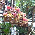 RIMG0169.JPG